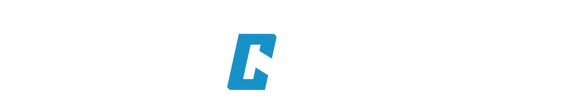 Sell My Car Now logo